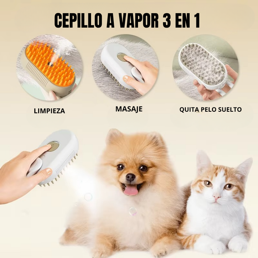 Cepillo a Vapor Con Mango 3 En 1